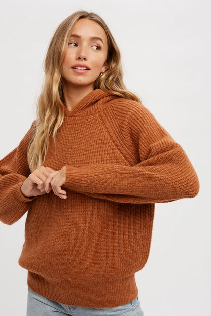 Camel Sweater Hoodie